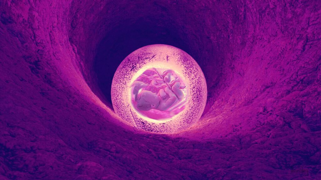 unborn, baby, cave-5375169.jpg